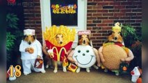 dangmattsmith! 30 Cute Animals in Fancy Dress Costumes Pet Halloween Ideas
