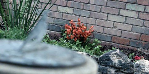 The October Flowers (Teaser)