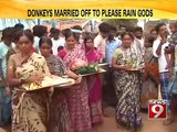 NEWS9: Davangere, donkeys married off to please rains gods