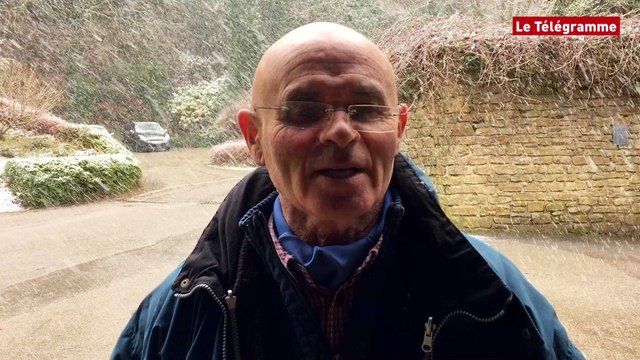 Brest. Présentation du camélia P'tit Zef au Conservatoire botanique national