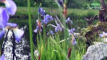 HOW TO BUILD NATURAL GARDEN STREAM WITH WATERFALL+LIGHT+CROSS PATH+BOULDERS+LINER+POND-PUMP+FEATURES