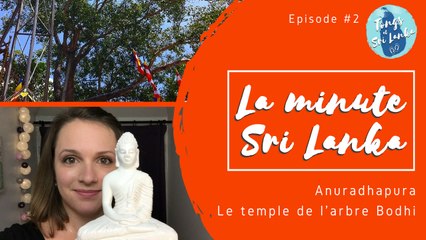 La minute Sri Lanka #02 -  L'arbre Bodhi
