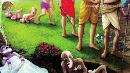 Đời là bể khổ, nhưng chịu được thống khổ mới có thể trưởng thành