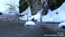Serra da Estrela Selvagem a 16-3-2018... Dedicado a Marielle Franco (1979-2018).