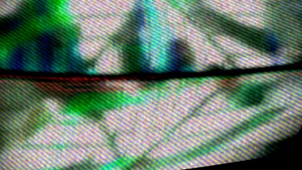 [YTP] Hampton DeVille Gets Invaded By Neo-Nazis