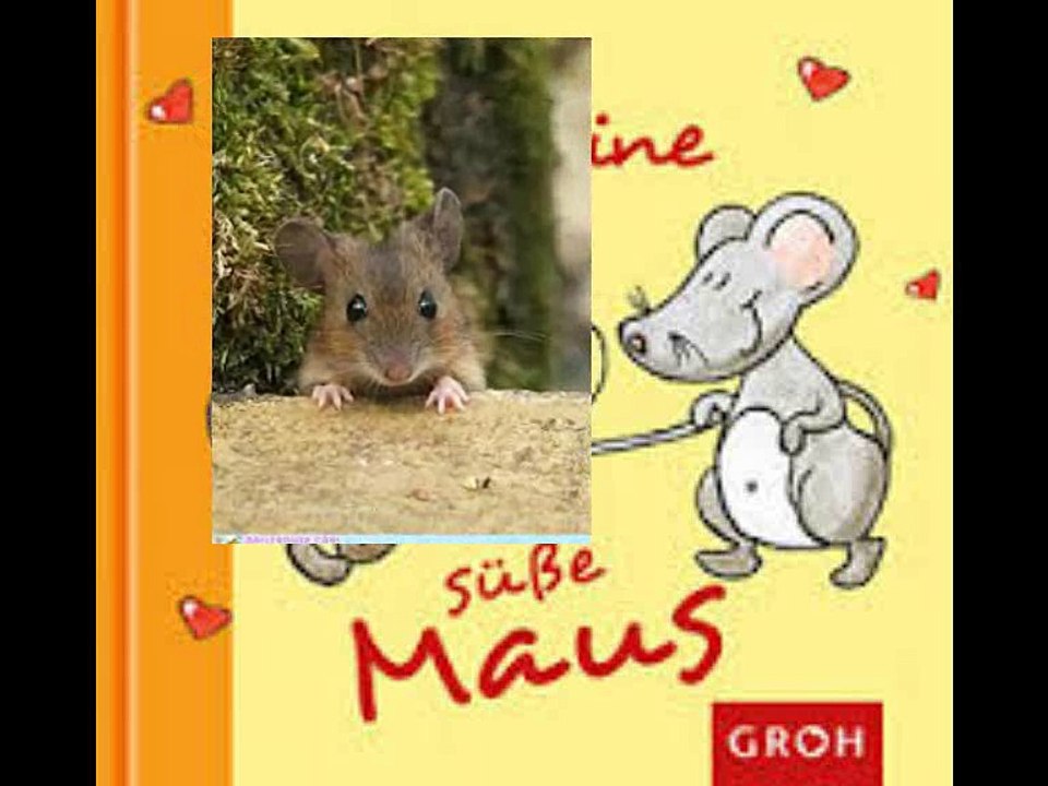 Rob B. - Die Maus  2018 ( Deutsch )