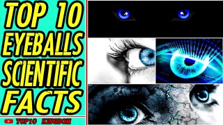 TOP 10 Scientific Facts About Eyeballs