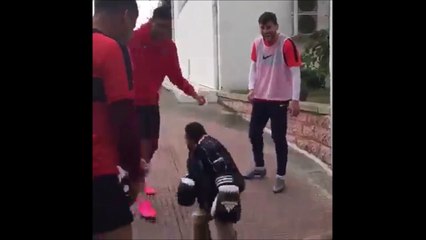 Petit mais costaud! Il a pas peur lui...