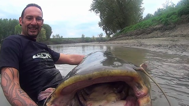 Ce pecheur attrape le plus gros poisson chat du monde