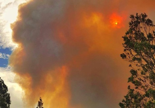Tathra Residents Evacuated After Intense Bushfire Destroys Homes