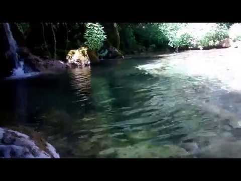 sonidos relajantes , agua y pajaros -soothing sounds,water and birds-