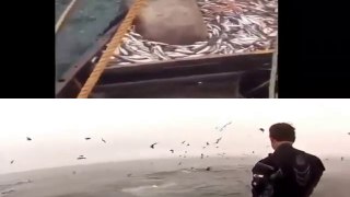 Shocking Moments Caught on Camera While Fishing