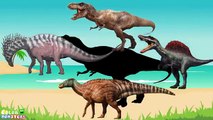 Wrong Shadow Dinosaurs! Learning Jurassic Dinosaurs Nursery Rhymes. Dinosaurs Triceratops cartoons!