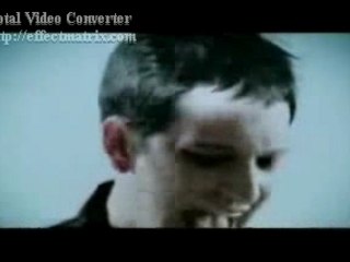 placebo This picture