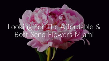 Call @ 786-422-5849 For Send Flowers Miami
