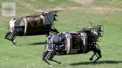 AlphaDog, U.S. Marines Robot Pack Animal - Legged Squad Support System
