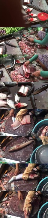 Amazing Cutting Fish | Fastest Fish Cutting | fish cutting in cambodia(15)
