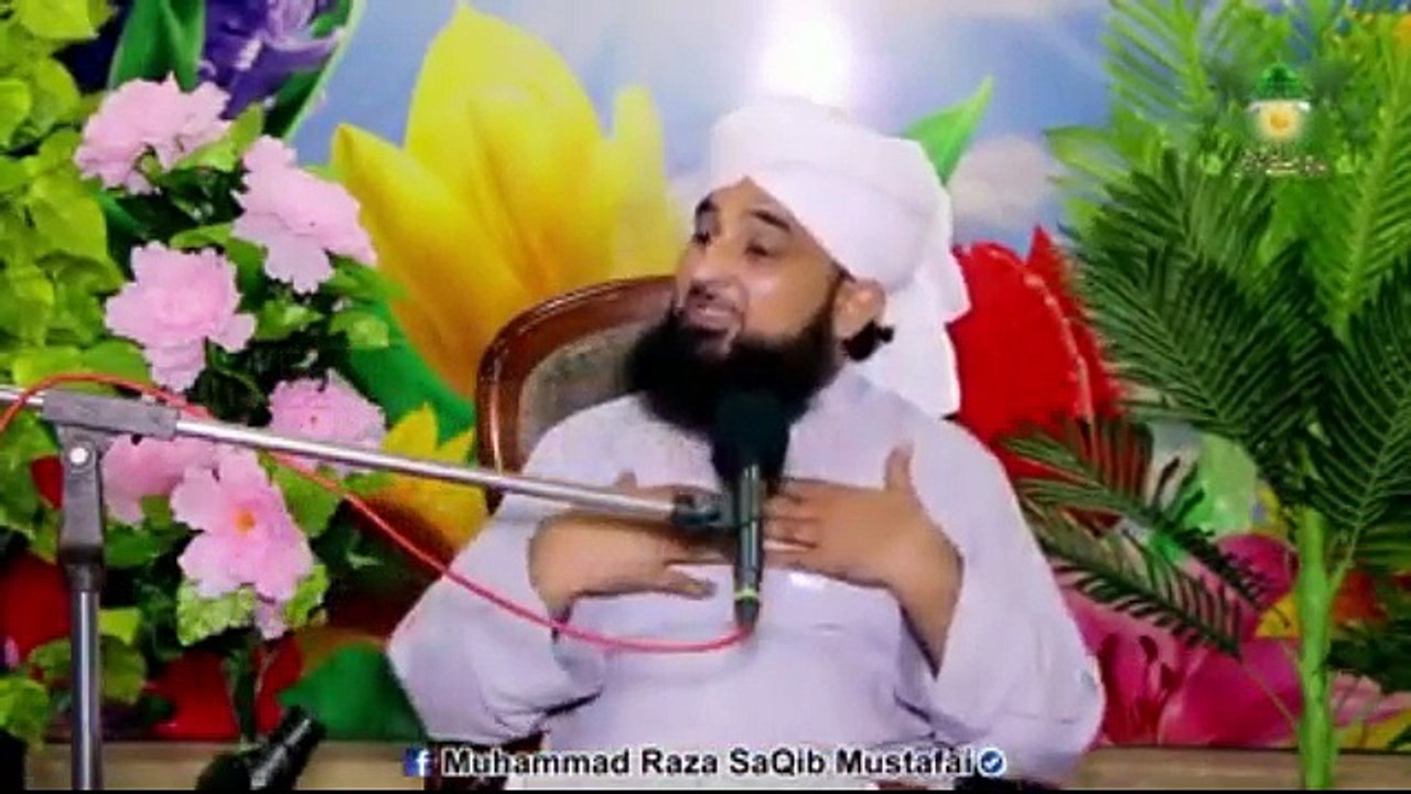 Allama Saqib Raza (38)