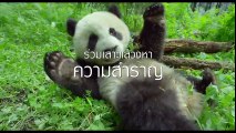 Earth  One Amazing Day หนึ่งวันมหัศจรรย์สัตว์โลก -  Official Trailer  ตัวอย่าง (พากย์ไทย)