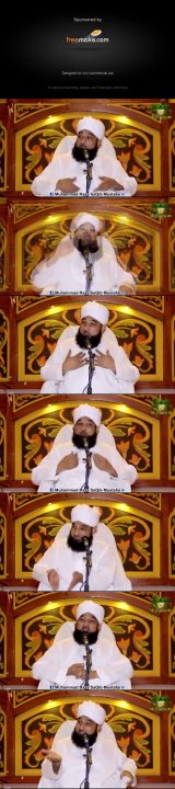 Allama Saqib Raza (45)