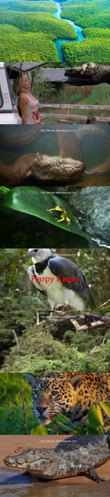 अमेजन जंगल के 5 सबसे खतरनाक जानवर 5 Deadliest Creatures Of The Amazon YOU WONT BELIEVE EXIST!