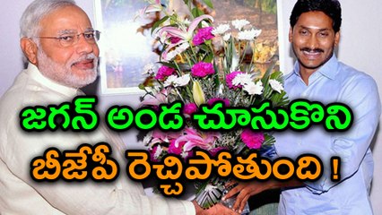 పవన్, జగన్‍‌లను బీజేపీ రెచ్చగొడుతుంది : భాజపా-వైకాపా-జనసేన దోస్తీ !