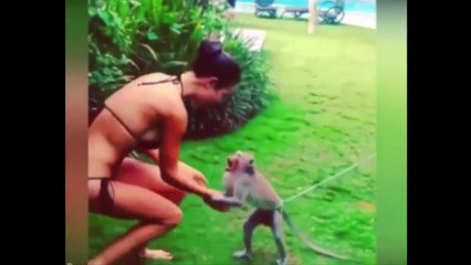 ‘Straight for the boobs’ Cheeky monkey gets handsy with model’s chest