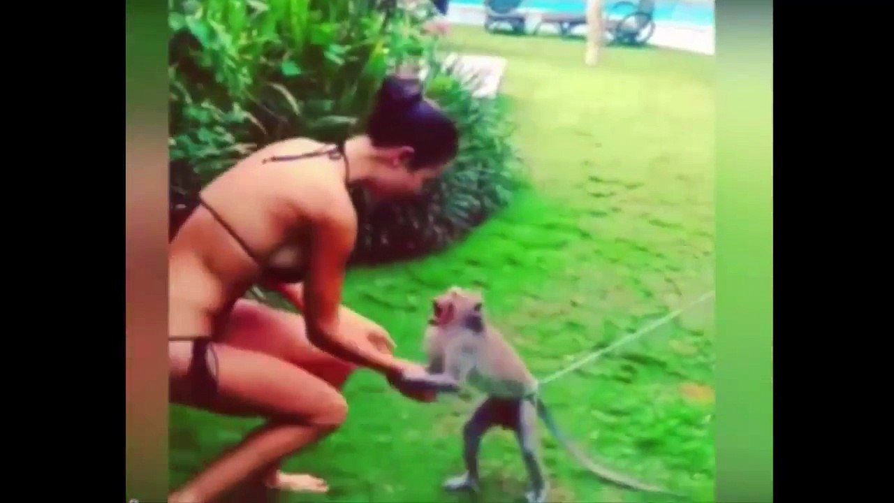 ‘Straight for the boobs’ Cheeky monkey gets handsy with model’s chest