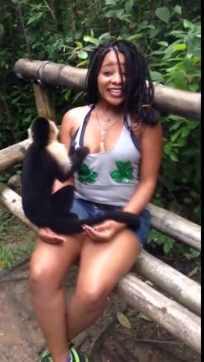 Monkey Grabs boob bites nip for milk !