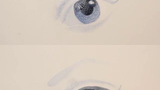 Как рисовать глаз - уроки рисования акварелью человека Артакадемия