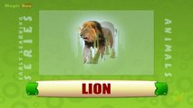 Lion - Animals - Pre School - Animated Educational Videos For Kids