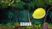 Guava - Fruits - Pre School - Animated Educational Videos For Kids