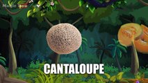 Cantaloupe - Fruits - Pre School - Animated Educational Videos For Kids