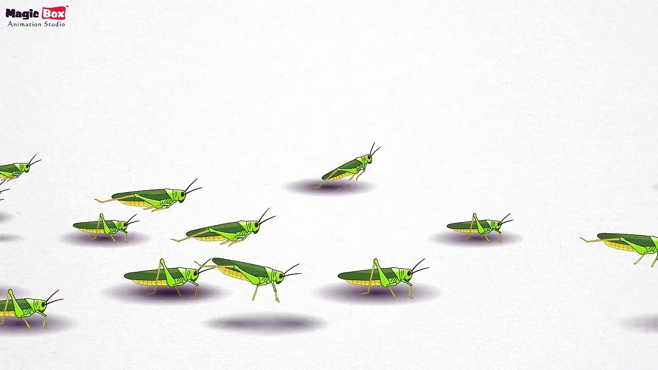 Grasshopper - Insects - Pre School - Learn Spelling Videos For Kids