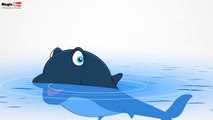 Whales - Sea Animals - Pre School - Learn Spelling Videos For Kids