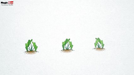 Taro - Vegetables - Pre School - Learn Spelling Videos For Kids