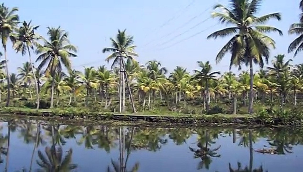 Kerala - Backwaters Tour