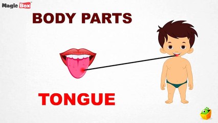 Body Parts Intro - Body Parts - Pre School - Learn Spelling Videos For Kids