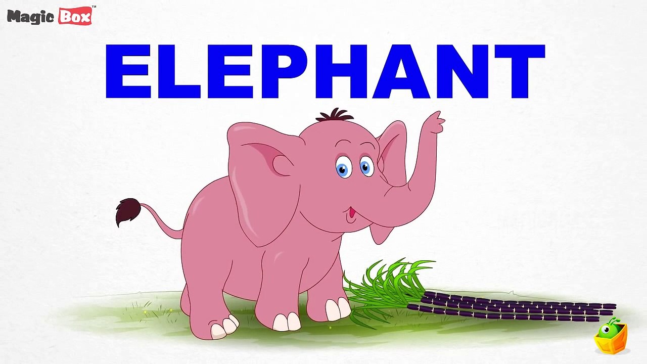 Elephant - Animal Alphabet - Pre School - Learn Spelling Videos For Kids