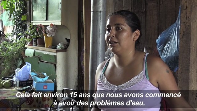 Au centre du Chili, une fièvre de l'avocat très gourmande en eau