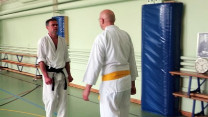 Tai Sabaki (esquives)