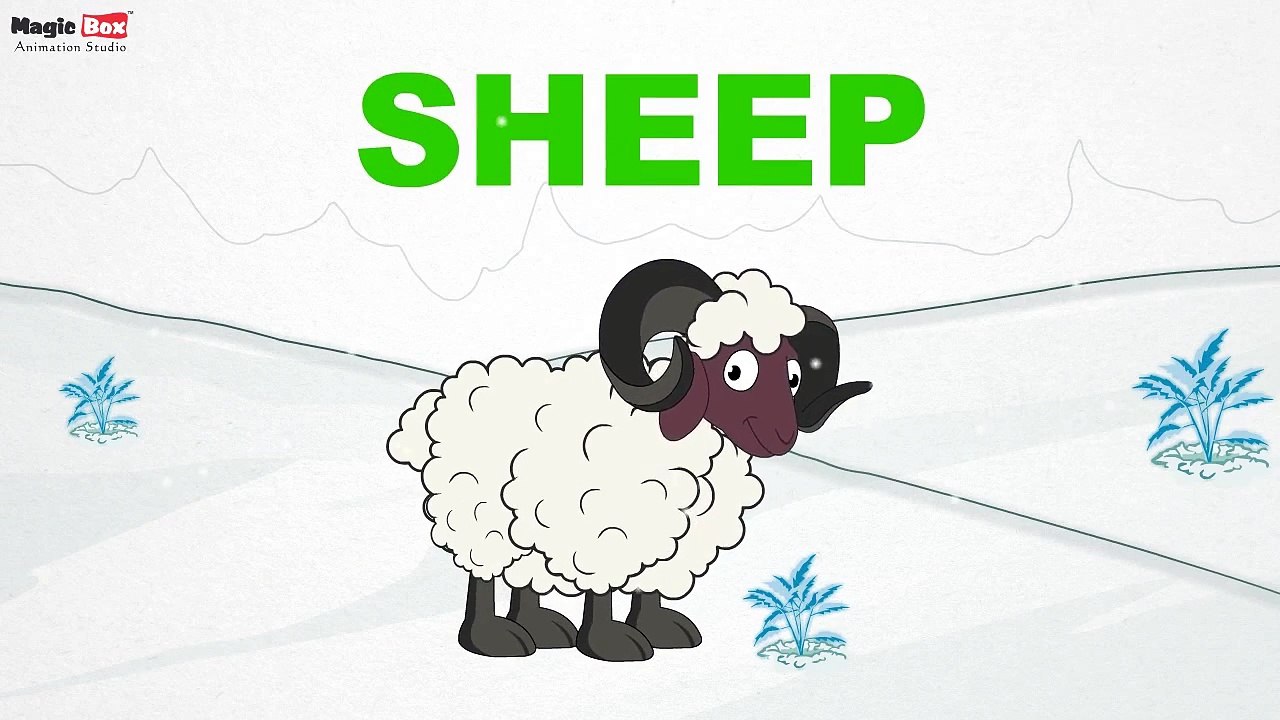 Sheep - Animals - Pre School - Learn Spelling Videos For Kids