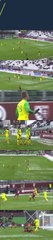 FC Metz - FC Nantes (1-1) Goals