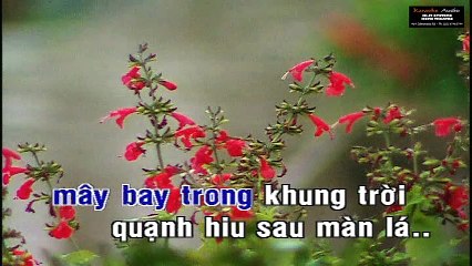 Mưa Chiều Kỷ Niệm - Lê Toàn