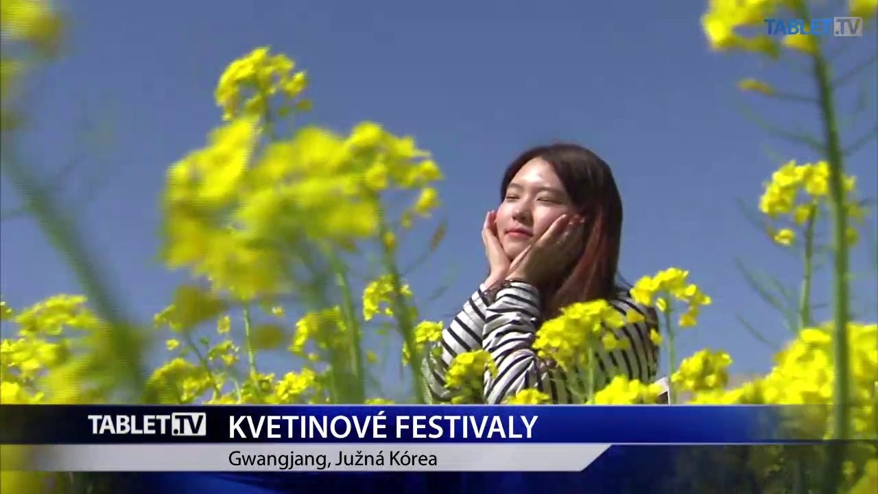 Kvetinové festivaly sú oficiálnym privítaním v jari v Južnej Kórei