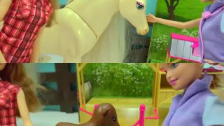 Farmer Barbie Vet Baby Animal Checkup - Medical Doctor Doll Playset Review
