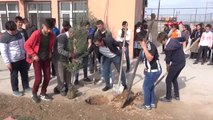 Şırnak Silopili Öğrenciler Afrin Şehitleri İçin Fidan Dikti