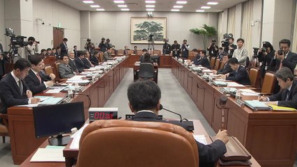 여야, 개헌 협상 재개했지만 '평행선' / YTN