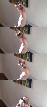 Dance like no one’s watching