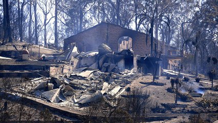 Télécharger la video: Buschfeuer zerstören zahlreiche Häuser in Australien